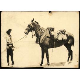 WWI Photograph Albums - Gallipoli & Sinai & Palestine. [loose photo]