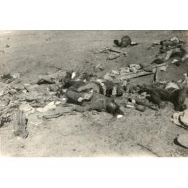 Photo from page 07 of album WWI Photograph Albums- Sinai & Palestine.