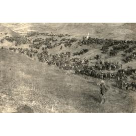 Photo from page 10 of album WWI Photograph Albums- Sinai & Palestine.