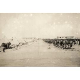Photo from page 03 of album WWI Photograph Album- Sinai and Palestine.