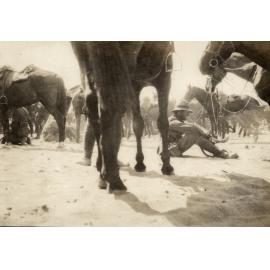 Photo from page 05 of album WWI Photograph Album- Sinai and Palestine.
