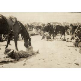 Photo from page 05 of album WWI Photograph Album- Sinai and Palestine.