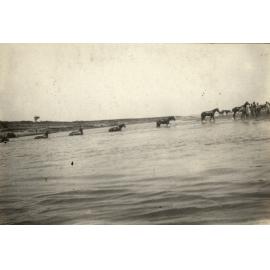Photo from page 11 of album WWI Photograph Album- Sinai and Palestine.
