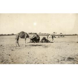Photo from page 11 of album WWI Photograph Album- Sinai and Palestine.