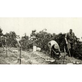 Photo from page 10 of album WWI Photograph Album- Gallipoli.