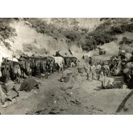 Photo from page 17 of album WWI Photograph Album- Gallipoli.