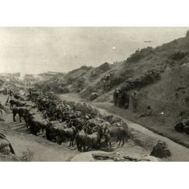Photo from page 17 of album WWI Photograph Album- Gallipoli.