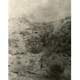 Photo from page 18 of album WWI Photograph Album- Gallipoli.