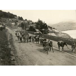 Photo from page 21 of album WWI Photograph Album- Gallipoli.