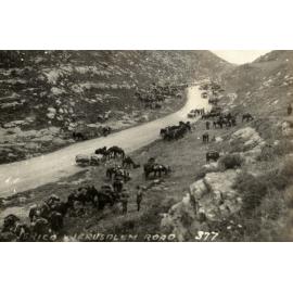 Photo from page 04 of album WWI Photograph Album- Egypt, Gallipoli & Sinai and Palestine.