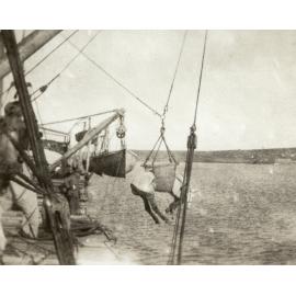 Photo from page 10 of album WWI Photograph Album- Egypt, Gallipoli & Sinai and Palestine.