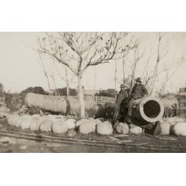 Photo from page 12 of album WWI Photograph Album- Egypt, Gallipoli & Sinai and Palestine.