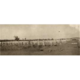 Photo from page 07 of album WWI Photograph Album- Egypt, & Sinai and Palestine.