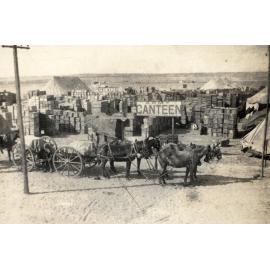 Photo from page 08 of album WWI Photograph Album- Egypt, & Sinai and Palestine.