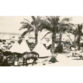 Photo from page 09 of album WWI Photograph Album- Featherston (NZ), Egypt, Gallipoli & Sinai and Palestine.