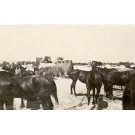 Photo from page 09 of album WWI Photograph Album- Featherston (NZ), Egypt, Gallipoli & Sinai and Palestine.