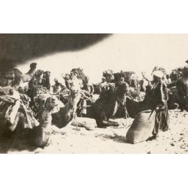Photo from page 10 of album WWI Photograph Album- Featherston (NZ), Egypt, Gallipoli & Sinai and Palestine.
