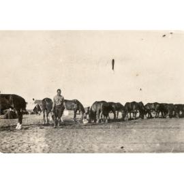 Photo from page 10 of album WWI Photograph Album- Featherston (NZ), Egypt, Gallipoli & Sinai and Palestine.