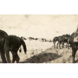 Photo from page 11 of album WWI Photograph Album- Featherston (NZ), Egypt, Gallipoli & Sinai and Palestine.