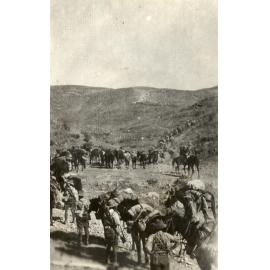 Photo from page 12 of album WWI Photograph Album- Featherston (NZ), Egypt, Gallipoli & Sinai and Palestine.