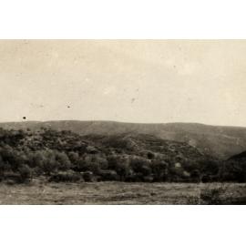 Photo from page 15 of album WWI Photograph Album- Featherston (NZ), Egypt, Gallipoli & Sinai and Palestine.