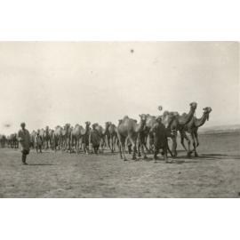 Photo from page 16 of album WWI Photograph Album- Featherston (NZ), Egypt, Gallipoli & Sinai and Palestine.