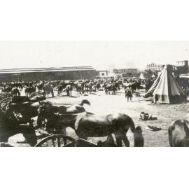 Photo from page 17 of album WWI Photograph Album- Featherston (NZ), Egypt, Gallipoli & Sinai and Palestine.