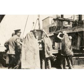 Photo from page 03 of album WWI Photograph Album- Egypt, Gallipoli & Sinai and Palestine.
