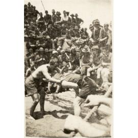 Photo from page 06 of album WWI Photograph Album- Egypt, Gallipoli & Sinai and Palestine.