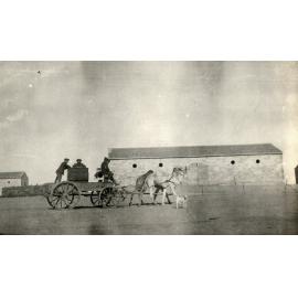 Photo from page 17 of album WWI Photograph Album- Egypt, Gallipoli & Sinai and Palestine.