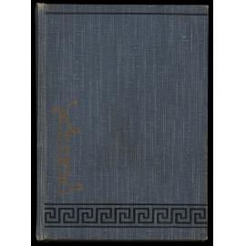 WWI Photograph Album of Alfred Peter Jensen