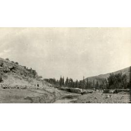 Photo from page 22 of album WWI Photograph Album- Egypt, Gallipoli & Sinai and Palestine.