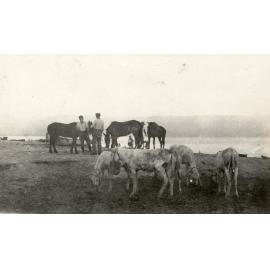 Photo from page 22 of album WWI Photograph Album- Egypt, Gallipoli & Sinai and Palestine.