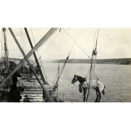 Photo from page 26 of album WWI Photograph Album- Egypt, Gallipoli & Sinai and Palestine.