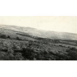 Photo from page 29 of album WWI Photograph Album- Egypt, Gallipoli & Sinai and Palestine.