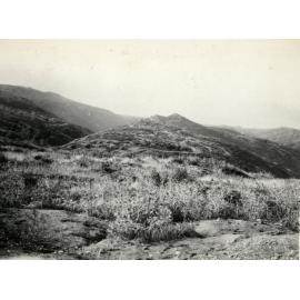 Photo from page 29 of album WWI Photograph Album- Egypt, Gallipoli & Sinai and Palestine.