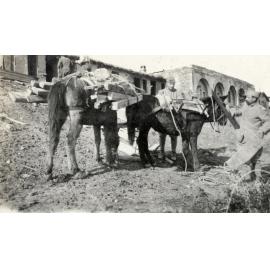 Photo from page 30 of album WWI Photograph Album- Egypt, Gallipoli & Sinai and Palestine.