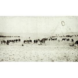 Photo from page 33 of album WWI Photograph Album- Egypt, Gallipoli & Sinai and Palestine.