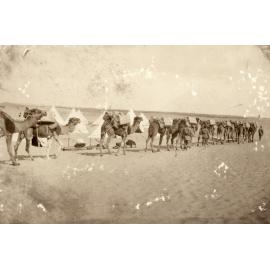 Photo from page 06 of album WWI Photograph Album - Nurses and Medical Services in Egypt, Gallipoli and Britain.