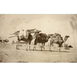 Photo from page 06 of album WWI Photograph Album - Nurses and Medical Services in Egypt, Gallipoli and Britain.