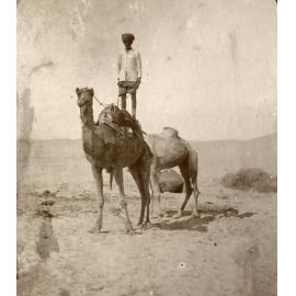 Photo from page 06 of album WWI Photograph Album - Nurses and Medical Services in Egypt, Gallipoli and Britain.