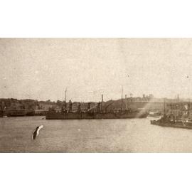 Photo from page 14 of album WWI Photograph Album - Nurses and Medical Services in Egypt, Gallipoli and Britain.