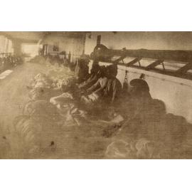 Photo from page 19 of album WWI Photograph Album - Nurses and Medical Services in Egypt, Gallipoli and Britain.