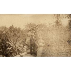 Photo from page 19 of album WWI Photograph Album - Nurses and Medical Services in Egypt, Gallipoli and Britain.