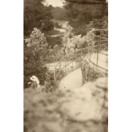 Photo from page 26 of album WWI Photograph Album - Nurses and Medical Services in Egypt, Gallipoli and Britain.