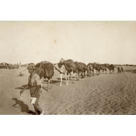 Photo from page 30 of album WWI Photograph Album - Nurses and Medical Services in Egypt, Gallipoli and Britain.