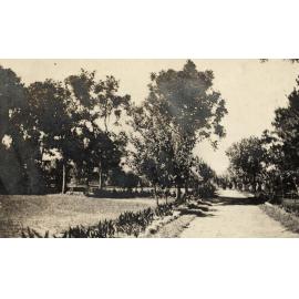 Photo from page 31 of album WWI Photograph Album - Nurses and Medical Services in Egypt, Gallipoli and Britain.