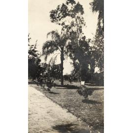 Photo from page 32 of album WWI Photograph Album - Nurses and Medical Services in Egypt, Gallipoli and Britain.