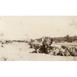 Photo from page 36 of album WWI Photograph Album - Nurses and Medical Services in Egypt, Gallipoli and Britain.