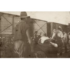 Photo from page 36 of album WWI Photograph Album - Nurses and Medical Services in Egypt, Gallipoli and Britain.